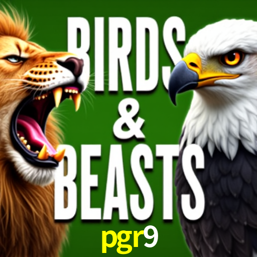 PIX Instantâneo pgr9