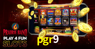 Premium Interface pgr9